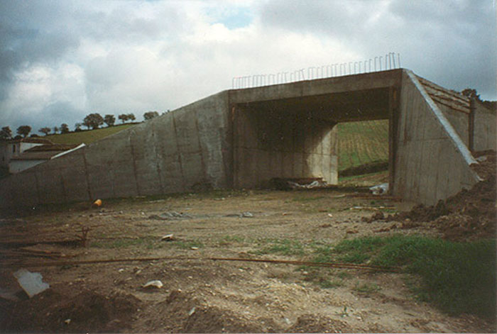 Puente en Prado del Rey (Cádiz)